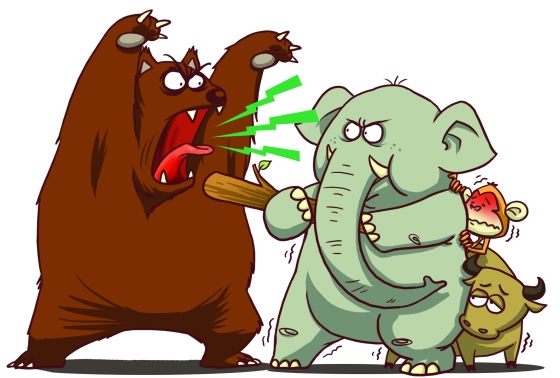 2014牛熊谁会胜出