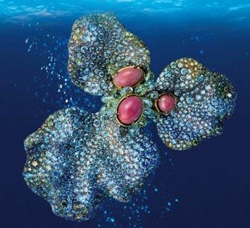 海螺珍珠独一无二变成奇珍异宝