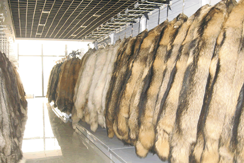 强力推进加速升级放大皮革产业"集群效应"