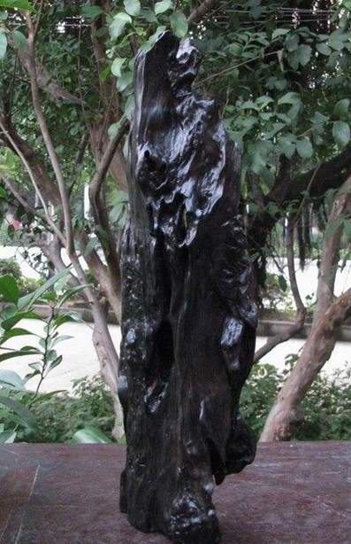 怎么鉴定阴沉木乌木