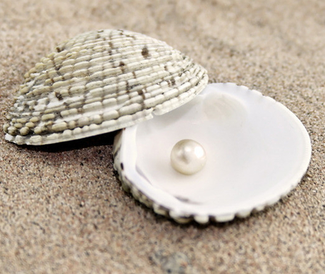 首届520网络珍珠文化节将揭开面纱