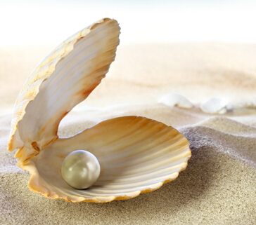 中国科学院一行7人来都昌考察珍珠养殖