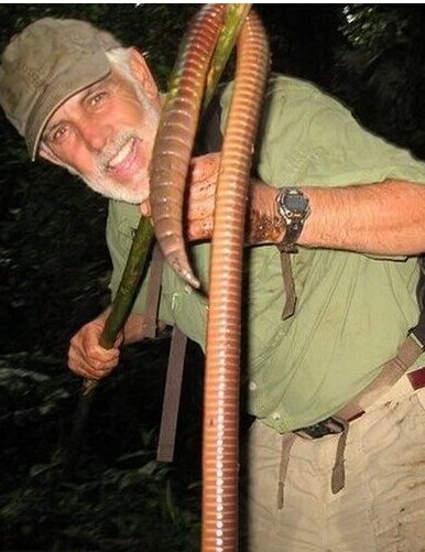 5米长巨型蚯蚓 可以拿来钓鲨鱼