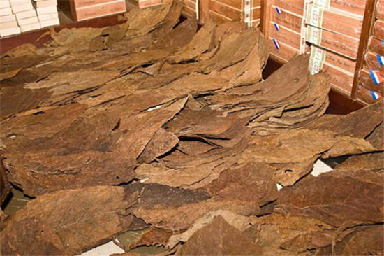 雪茄可经历三个阶段的老化发酵 目的是为了更