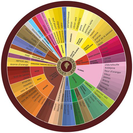 红酒知识：法国红酒的香气类型图解