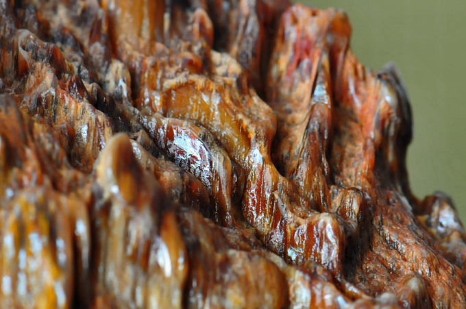 树化玉投资三陷阱