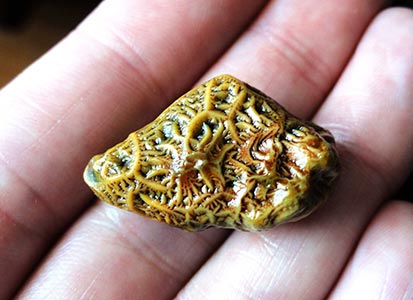 一个人脖子上有颗绿色珠子猜成语_一个人的图片孤独图片