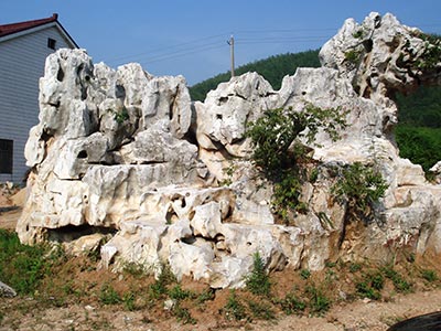 太湖石种类