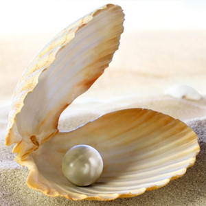 迄今发现最大天然海水珍珠将于12月拍卖