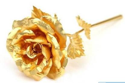 黄金玫瑰是什么