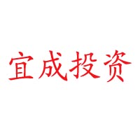 上海宜成投资管理有限公司