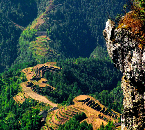 桂东县人口有多少_桂东县地图