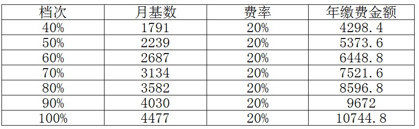 绵阳2015年个体养老保险缴费标准