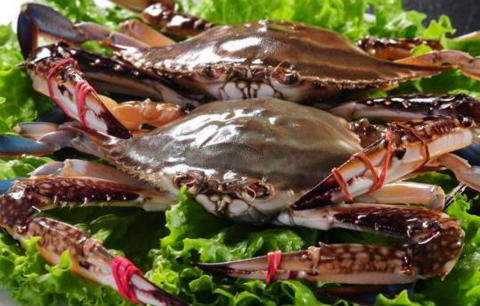 梭子蟹价格多少 78699cd705178410d7687fc161d0c473.jpg?_=1441159734593