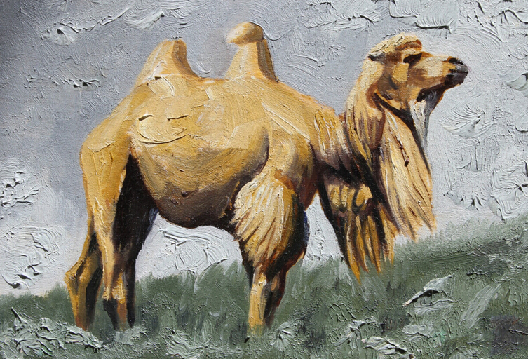骆驼肖像22x15cm油画2009.7 5/ 6