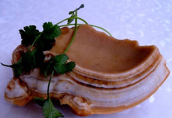 奇石收藏:"系列东坡肘子"肉石