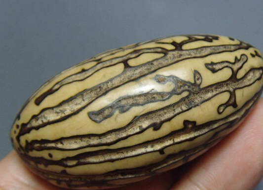 千眼菩提 千眼菩提