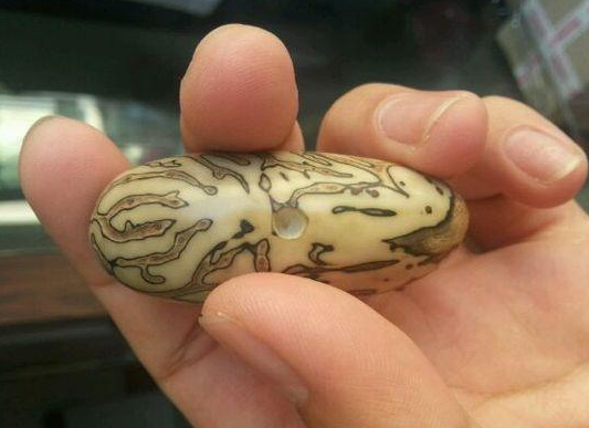 千眼菩提 千眼菩提