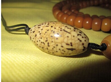 千眼菩提 千眼菩提