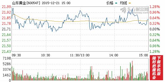 今日山東黃金股票行情(2015年12月21日)