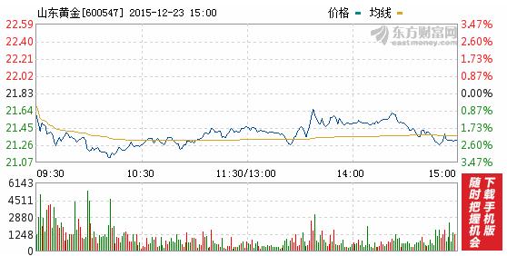 今日山東黃金股票行情(2015年12月23日)