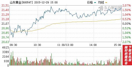 今日山東黃金股票行情(2015年12月29日)
