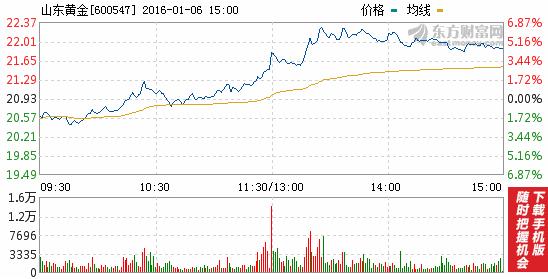 今日山東黃金股票行情(2016年1月6日)
