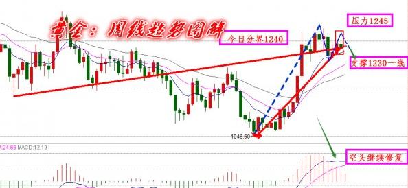 国际黄金价格最高是多少 196a70ba0af598d11563cac131c6ad33.jpg?_=1460944010977