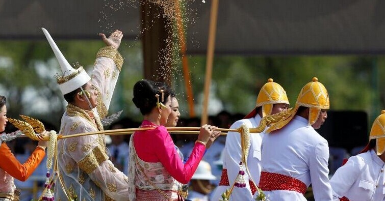 泰王室举行春耕典礼的 当地民众抢稻种