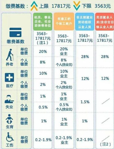 上海社保查询个人账户