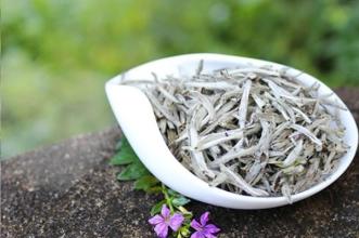 将茶作为一种爱好,现在想要深入了解一些茶文化知识,应该怎么做?