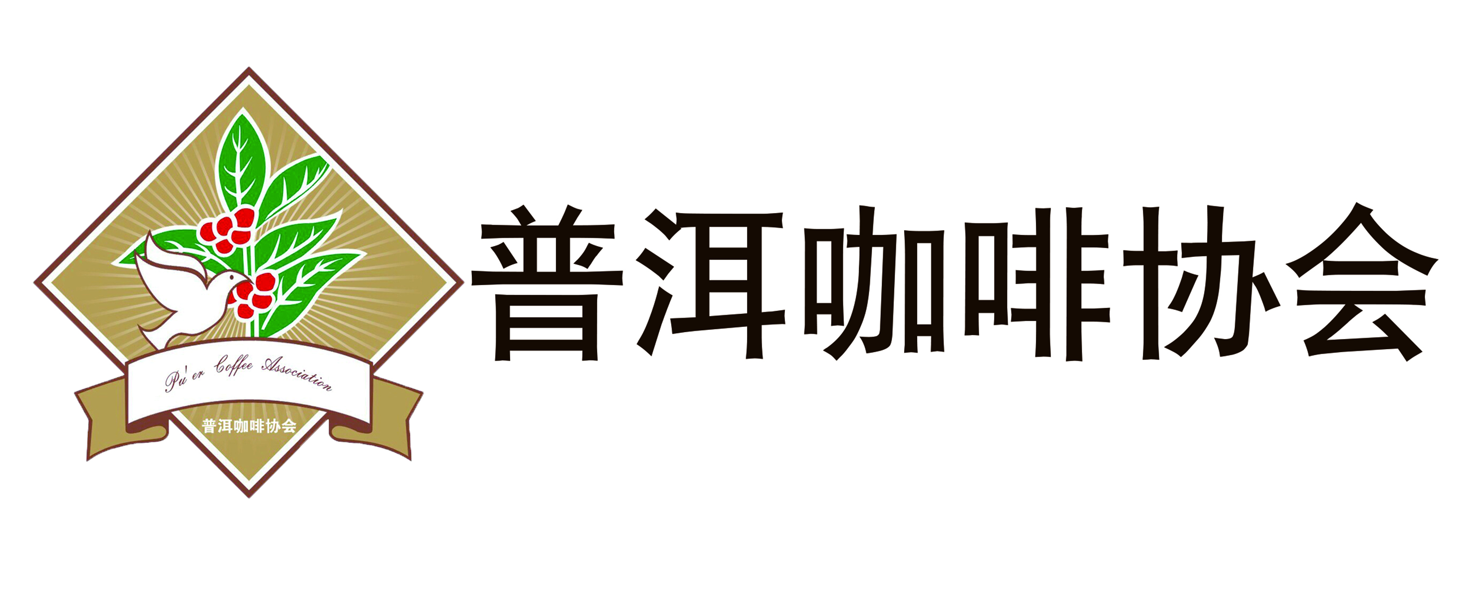 北京谆客福德,普洱咖啡协会与云南咖啡交易中心联合举办咖啡品质培训.