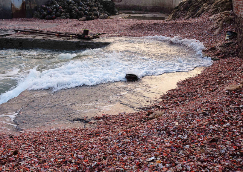 青岛海滨天文大潮 成堆贝壳席卷上岸