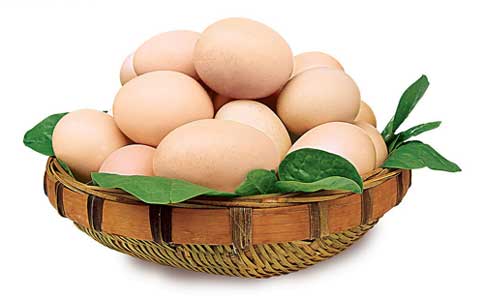 短期关注产区去库存对鸡蛋价格的压力