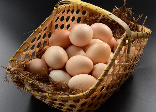 8月17日鸡蛋期货市场早报