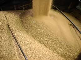 供应端和需求端共同作用 豆粕现货价格相对抗跌