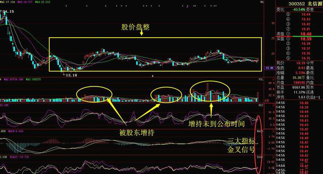 叠加国家安防和网络安全 布局G20峰会龙头股