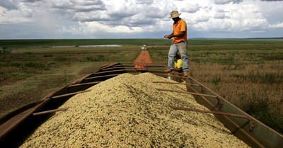 作物丰产在即 CBOT大豆期货30日收跌