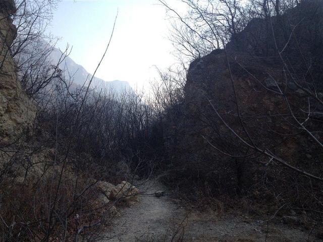 河南封门村真实事件,河南封门村真实事件资料