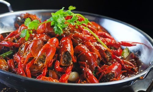 龙虾吃鱼吗 d84234cbb7d0b8b0b4596f88b0925dc6.jpg?_=1475134632105