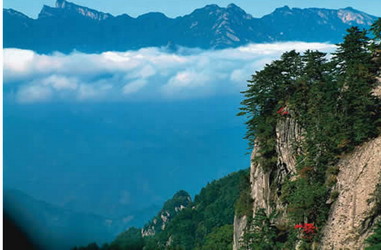 99592f576057b3cda898ee817bf02e8c.png?_=1476165697149