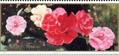 云南山茶花小型张邮票的收藏价值怎么样？