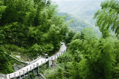 戴村国家登山健身步道图片