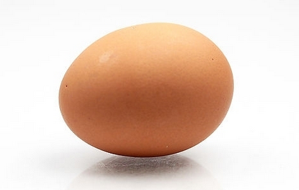 鸡蛋现货价格波动高于预期