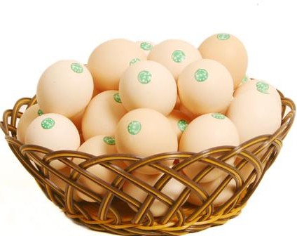 现货鸡蛋价格短期下行空间料有限