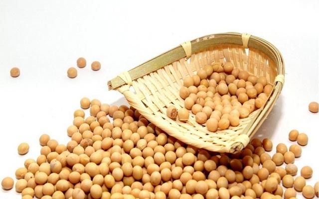 美豆出口检验高于同期 豆油维持高位横盘震荡的局势