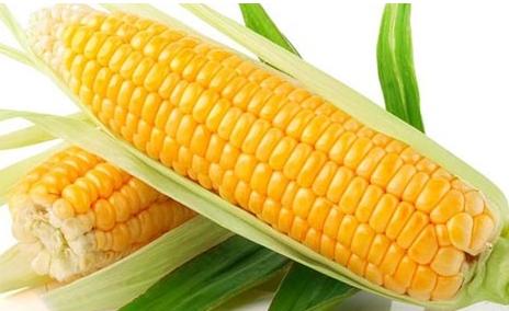 亩产万斤_吉林玉米亩产收入(3)