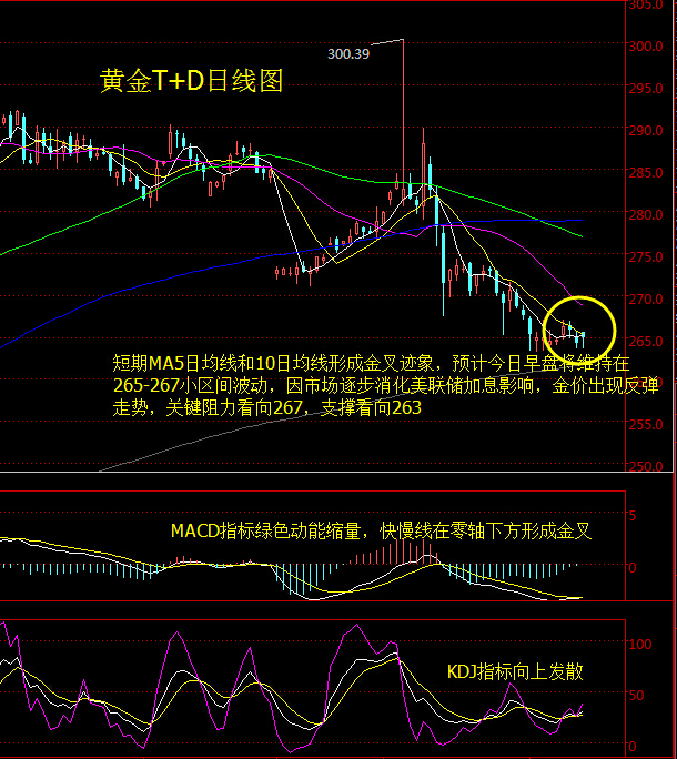 黄金td日线图