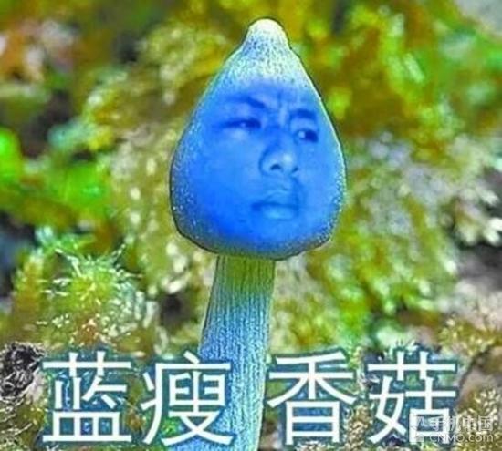 2016十大流行语公布 “小目标”也在其中