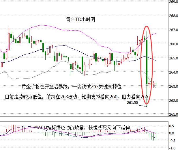 黄金td小时图